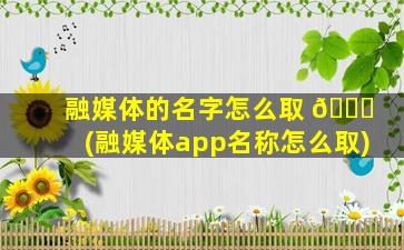 融媒体的名字怎么取 🐒 (融媒体app名称怎么取)